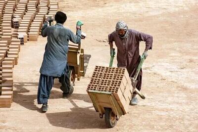 ممنوعیت به کارگیری اتباع در استان گلستان