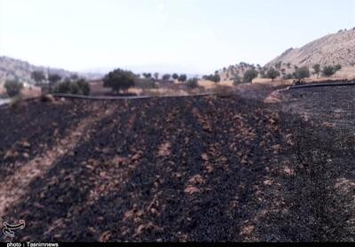 مهار آتش‌سوزی کوه مُورد باشت+تصویر - تسنیم