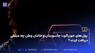 پول‌های خون‌آلود؛ جاسوسان و خائنان وطن چه مبلغی دریافت کردند؟