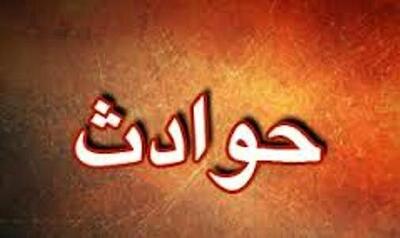 زن با دندان بینی شوهر را از جا درآورد