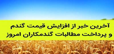 آخرین خبر از پرداخت مطالبات گندمکاران صبح جمعه 27 تیر/ قیمت جدید گندم بالاخره مشخص شد