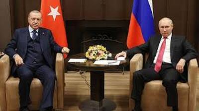 گفتگوی تلفنی پوتین و اردوغان درباره سوریه