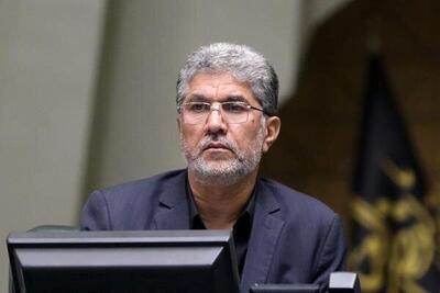 نماینده مجلس: اتحاد و همدلی شکل گرفته به واسطه عملکرد مثبت دولت است