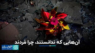آن‌هایی که ندانستند، چرا مُردند