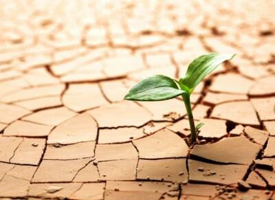 عبور از بحران خشکسالی با تغییر رویکرد سنتی - اکونیوز
