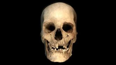 اسکلت ۴۵۰۰ ساله، داستان تازه‌ای از مصر باستان روایت می‌کند