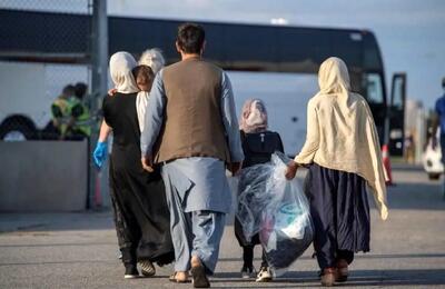 وزیر کشور: فقط دنبال خروج اتباع غیرمجاز هستیم