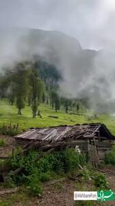 لحظۀ زیبای ورود مِه به ییلاقات گیلان