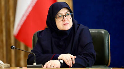 واکنش سخنگوی دولت به فیلم پیر پسر