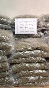 کشف حیرت‌انگیز 63 کیلوگرم مواد مخدر در گمرک آستارا