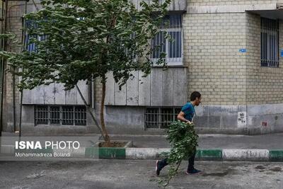 پیش بینی هوای تهران فردا شنبه 28 تیرماه/ماندگاری هوای گرم طی هفته آینده