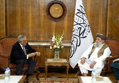نخست وزیر طالبان در دیدار با هیئت پاکستانی: مشکلات باید با تفاهم حل شود - تسنیم