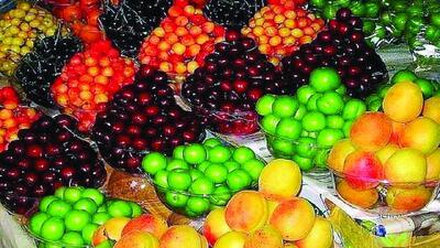 توزیع روزانه میوه به ۲۲ هزارتن رسید