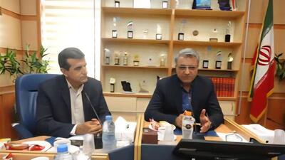 معاون وزیر تعاون: پرداخت تسهیلات به تعاونی‌ها براساس عملکرد آنان باشد
