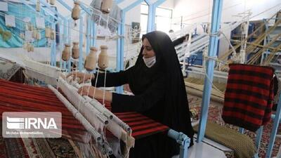 پرداخت ۸۸ میلیارد تومان تسهیلات مشاغل خانگی در خراسان جنوبی
