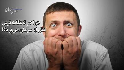 چرا در لحظات ترس عقل از سرمان می‌پرد؟! مکانیزم مغز هنگام وحشت (فیلم)