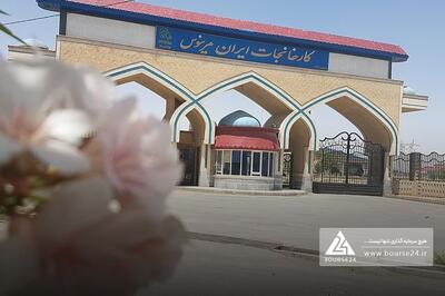 «نمرینو» و برگزاری مزایده