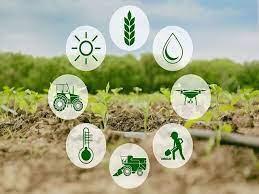 امنیت غذایی ایران، قربانی خشکسالی و موج‌ گرما - اکونیوز