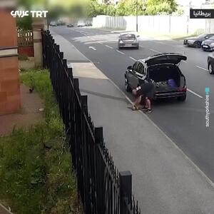 حکم زندان برای یک مرد به دلیل رهاسازی موش در مسجد