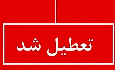 فوری؛ تعطیلی ادارات این استان شنبه ۲۸ تیر | ادامه دورکاری کارمندان شش شهر
