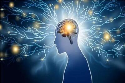 «هوش» ارثی است یا نه؟