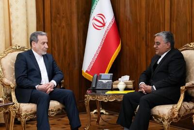 دیدار رئیس جدید دفتر حفاظت منافع ایران در قاهره با عراقچی
