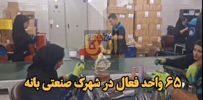 فیلم | ۶۵ واحد فعال در  شهرک صنعتی بانه