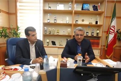 معاون وزیر تعاون: پرداخت تسهیلات به تعاونی‌ها براساس عملکرد آنان باشد