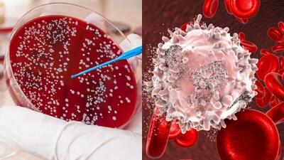 فراخوان طراحی و سنتز MRNA اصلاح‌شده؛ پیوند سلول‌های بنیادی خون‌ساز با هدف درمان تالاسمی