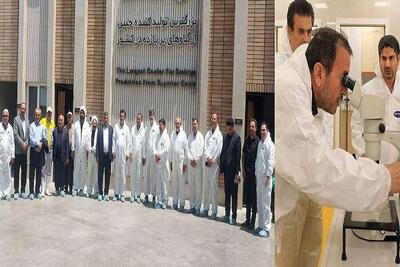 ایران در مسیر بومی‌سازی فناوری تولید جنین دام