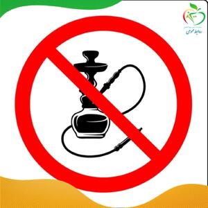 پلمب ۳۵ واحد عرضه کننده قلیان
