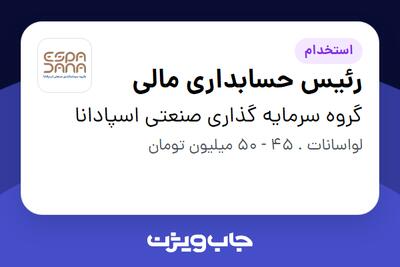 استخدام رئیس حسابداری مالی در گروه سرمایه گذاری صنعتی اسپادانا