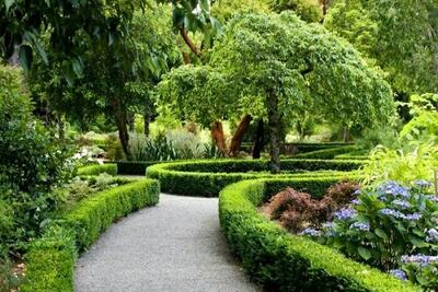 احیای فضای سبز منطقه ۱۲ تهران