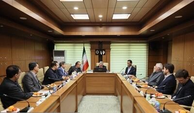 ظفرقندی: تعامل وزارت بهداشت و نظام پزشکی باید بر اساس منافع ملی باشد