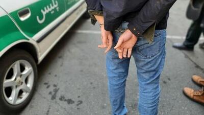 دستگیری زورگیر سریالی قلعه نو با ۱۵ فقره سرقت