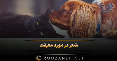 شعر در مورد معرفت؛ اشعار سنگین درباره ادب، مرام و معرفت