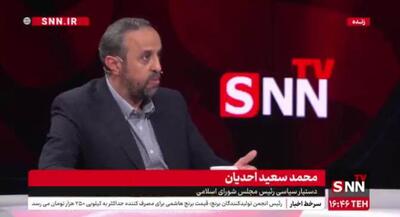 احدیان: اسرائیل منافع آمریکا را در منطقه تأمین می‌کند + فیلم