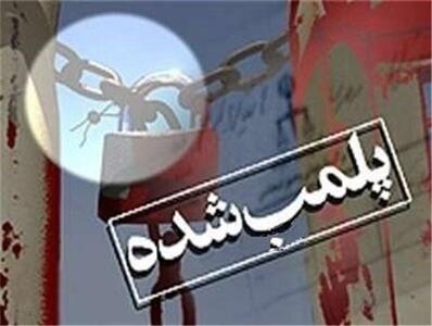 کشف و تعطیلی کشتارگاه غیرمجاز گوشت الاغ در شهریار