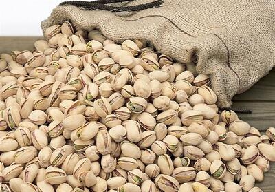 کشف و توقیف 900 کیلوگرم پسته جنگلی قاچاق در صالح‌آباد - تسنیم