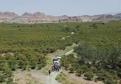تابستان در خراسان جنوبی؛ سفر به دل کوهستان، فرهنگ کهن و آرامش تابستانی - تسنیم
