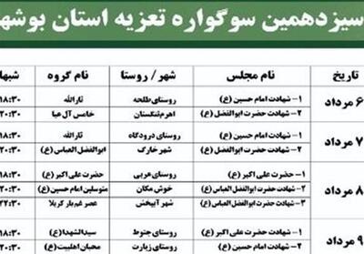 معرفی گروه‌های برگزیده سیزدهمین سوگواره تعزیه استان بوشهر - تسنیم