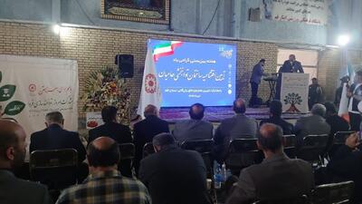 افزایش ۳۰ درصدی ظرفیت نگهداری بیماران روانی مزمن در قم