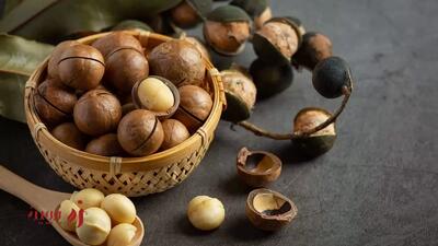 ماکادمیا برای لاغری یا چاقی؟ بررسی علمی اثر ماکادمیا بر وزن | زرچین