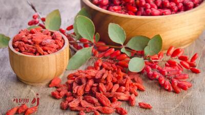 زرشک و کبد چرب؛ واقعیت علمی یا افسانه گیاهی؟ | زرچین