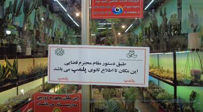 پلمب واحدهای متخلف  بازار گل شهید ستاری
