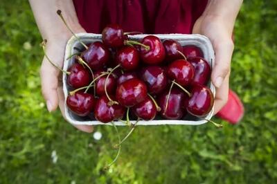 ۷ دلیل شگفت‌انگیز برای اینکه گیلاس بخوریم