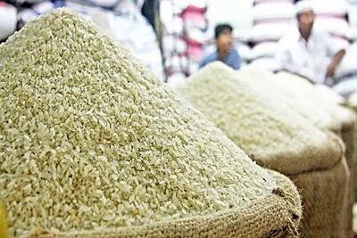 مجوز دولت برای واردات برنج در فصل برداشت خلاف قانون است/ نیکزاد: کمیسیون کشاورزی به موضوع افزایش قیمت برنج ورود کند