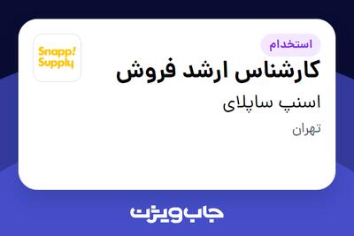 استخدام کارشناس ارشد فروش در اسنپ ساپلای