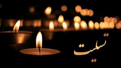 تسلیت به یک همکار؛ همدردی خبرورزشی با چیا فوادی - پارس فوتبال