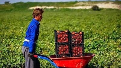 خلاقیت تحسین‌برانگیز و خنده‌دار  کشاورز تبریزی  در تبدیل بطری کهنه به باغی از بهشت حماسه آفرید/خلاق تویی، بقیه اداتو در میارن داداش